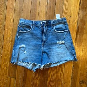 Abercrombie and Fitch Curve Love cut offs